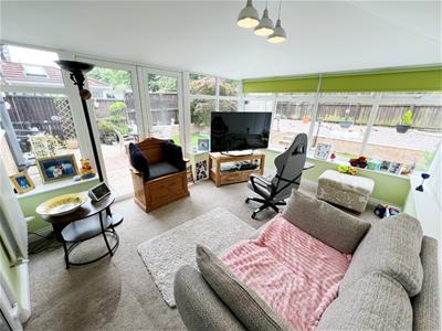 Picture 7